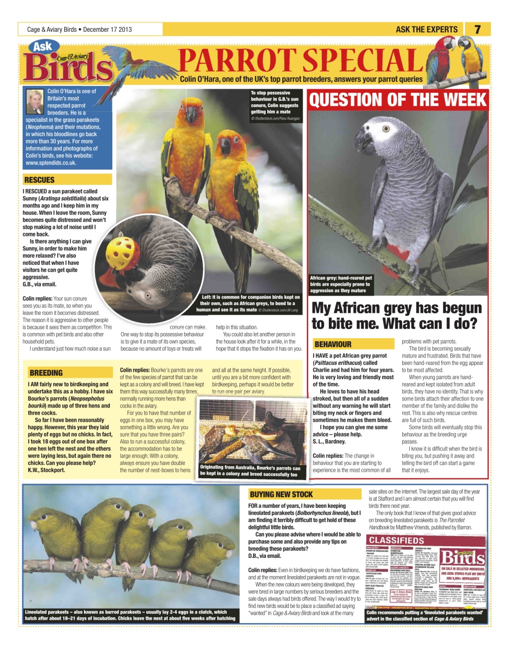 Cage & Aviary Birds Preview Pages