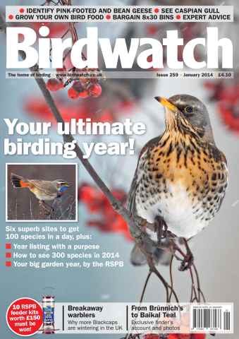 Birdwatch Magazine issue January Issue