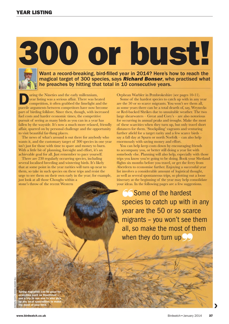 Birdwatch Magazine Preview Pages