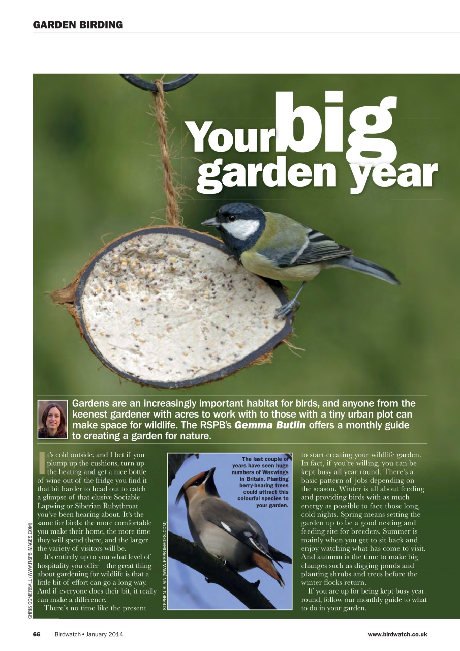 Birdwatch Magazine Preview Pages