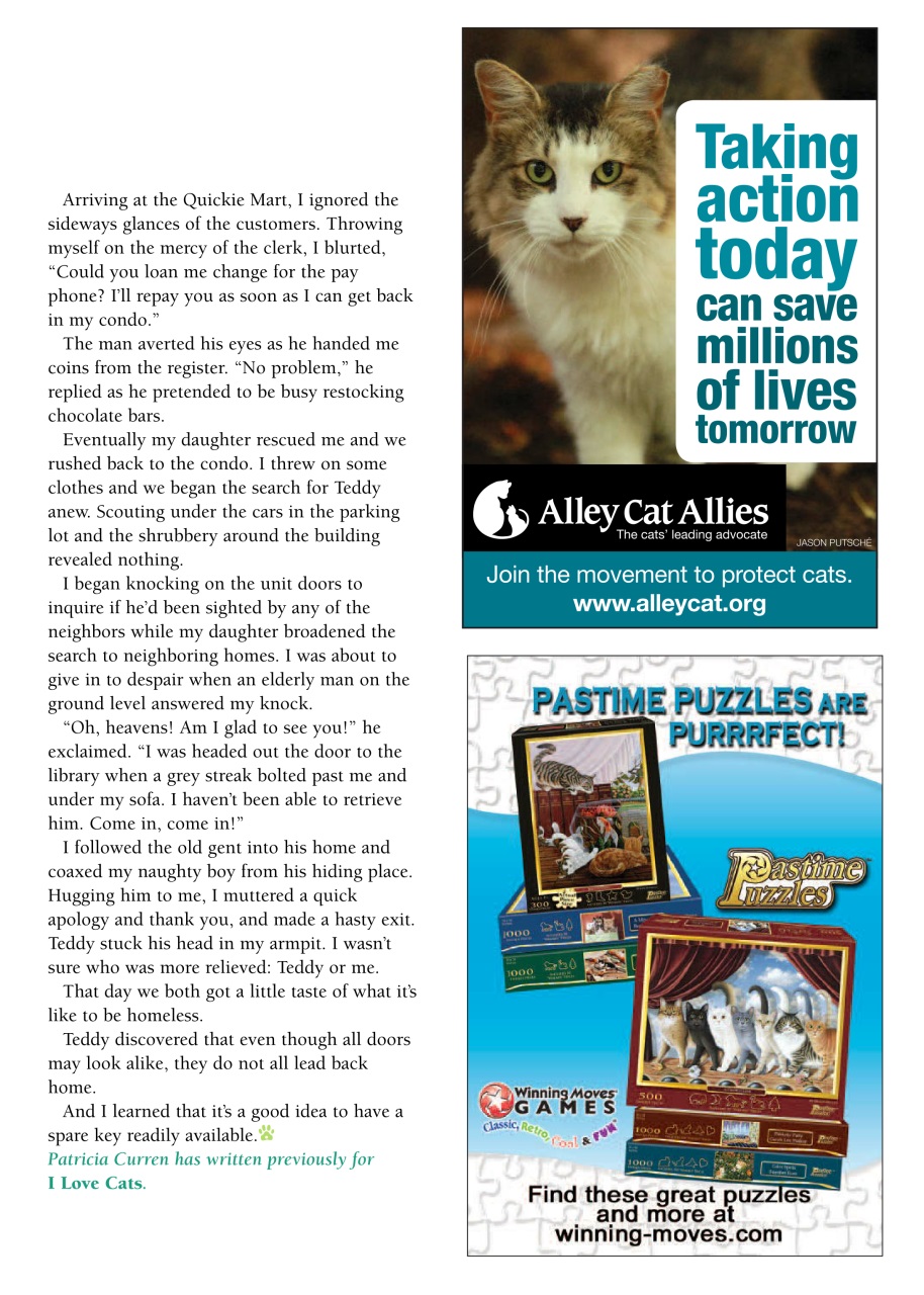 I Love Cats Preview Pages