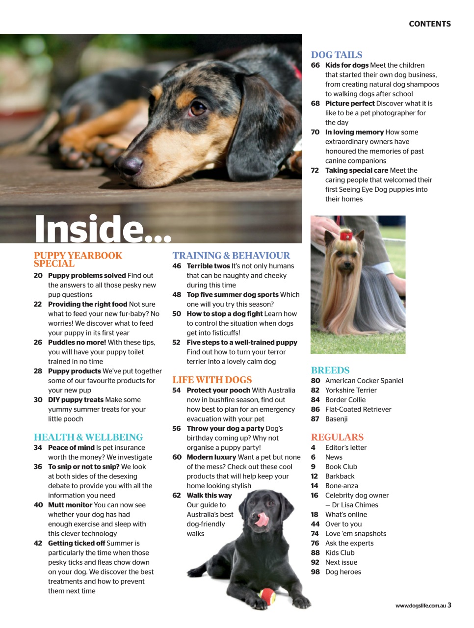 Dogs Life Preview Pages