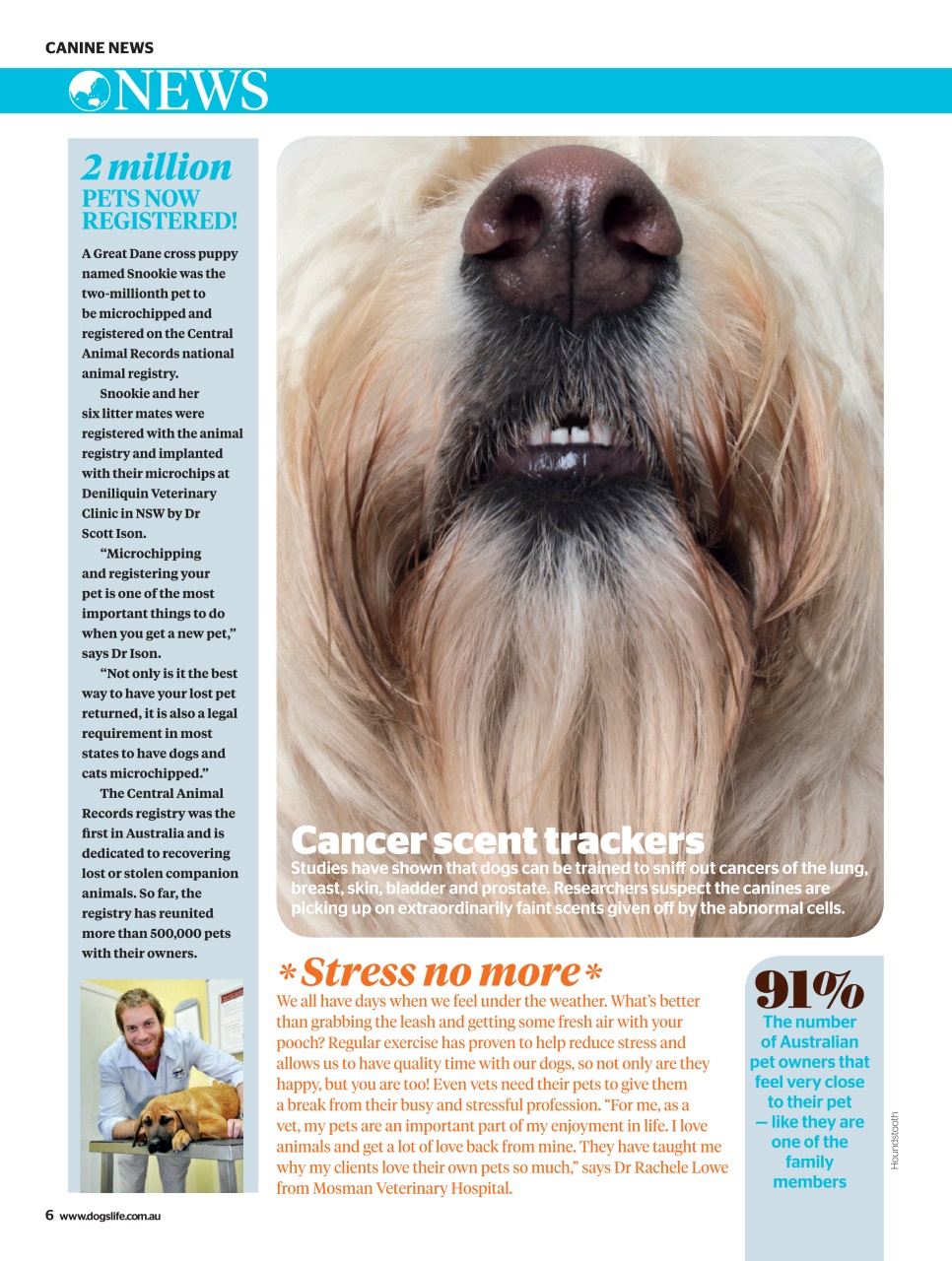 Dogs Life Preview Pages