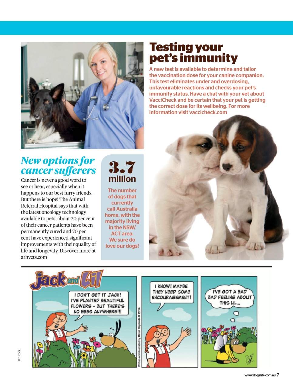 Dogs Life Preview Pages