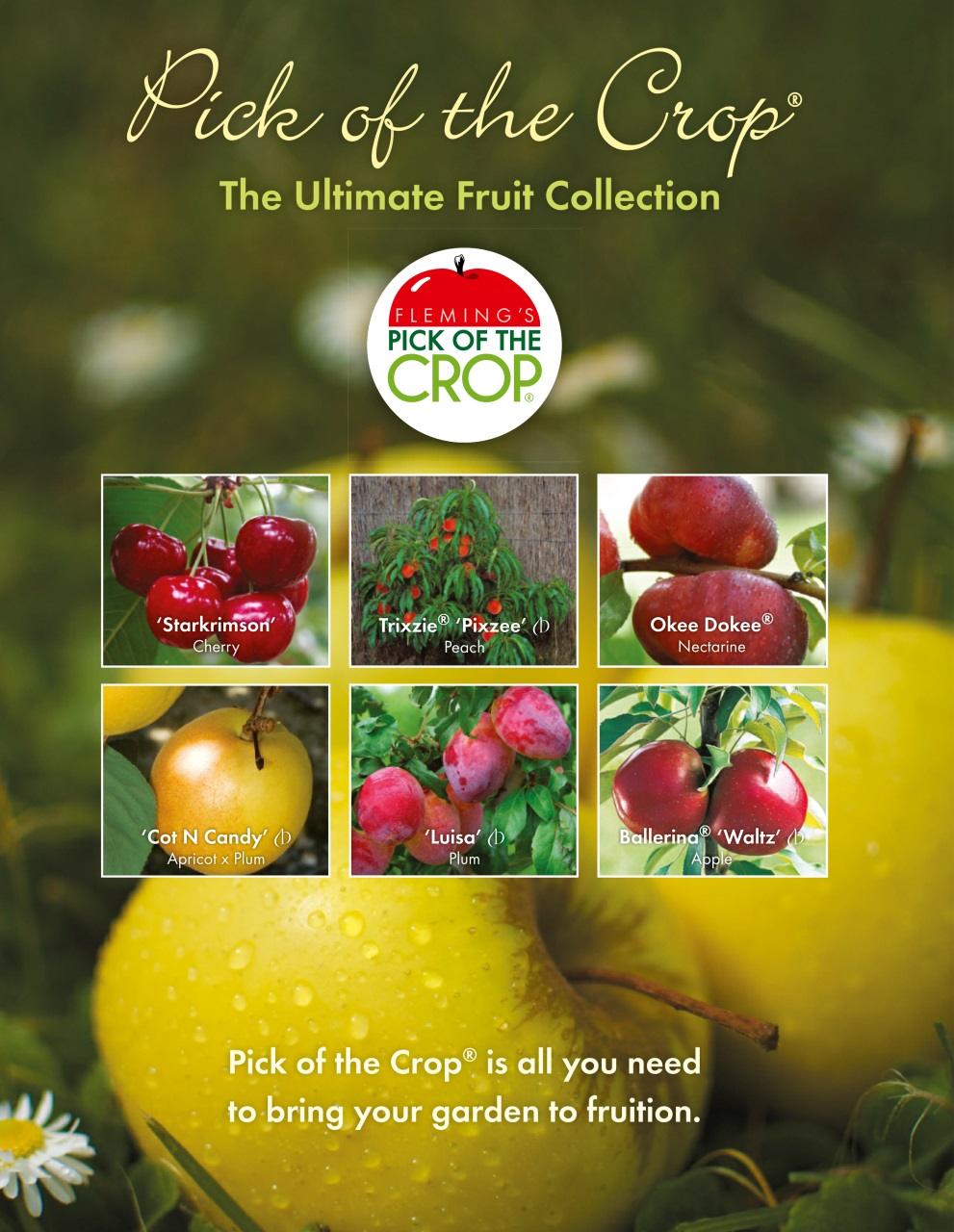 Good Organic Gardening Preview Pages
