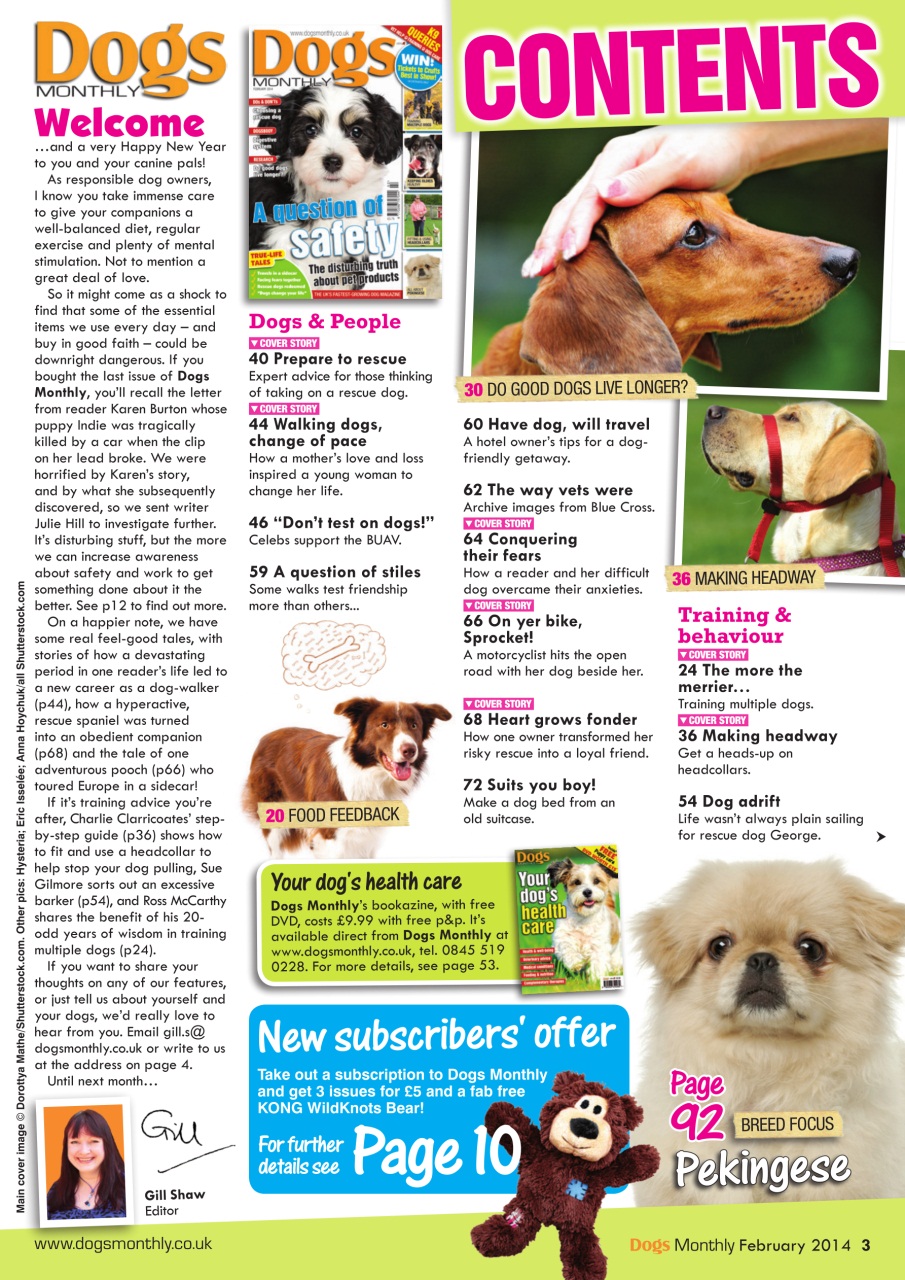 Dogs Monthly Preview Pages
