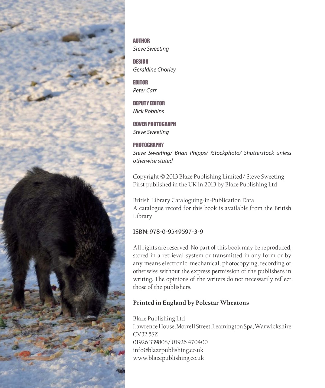 Sporting Rifle Preview Pages