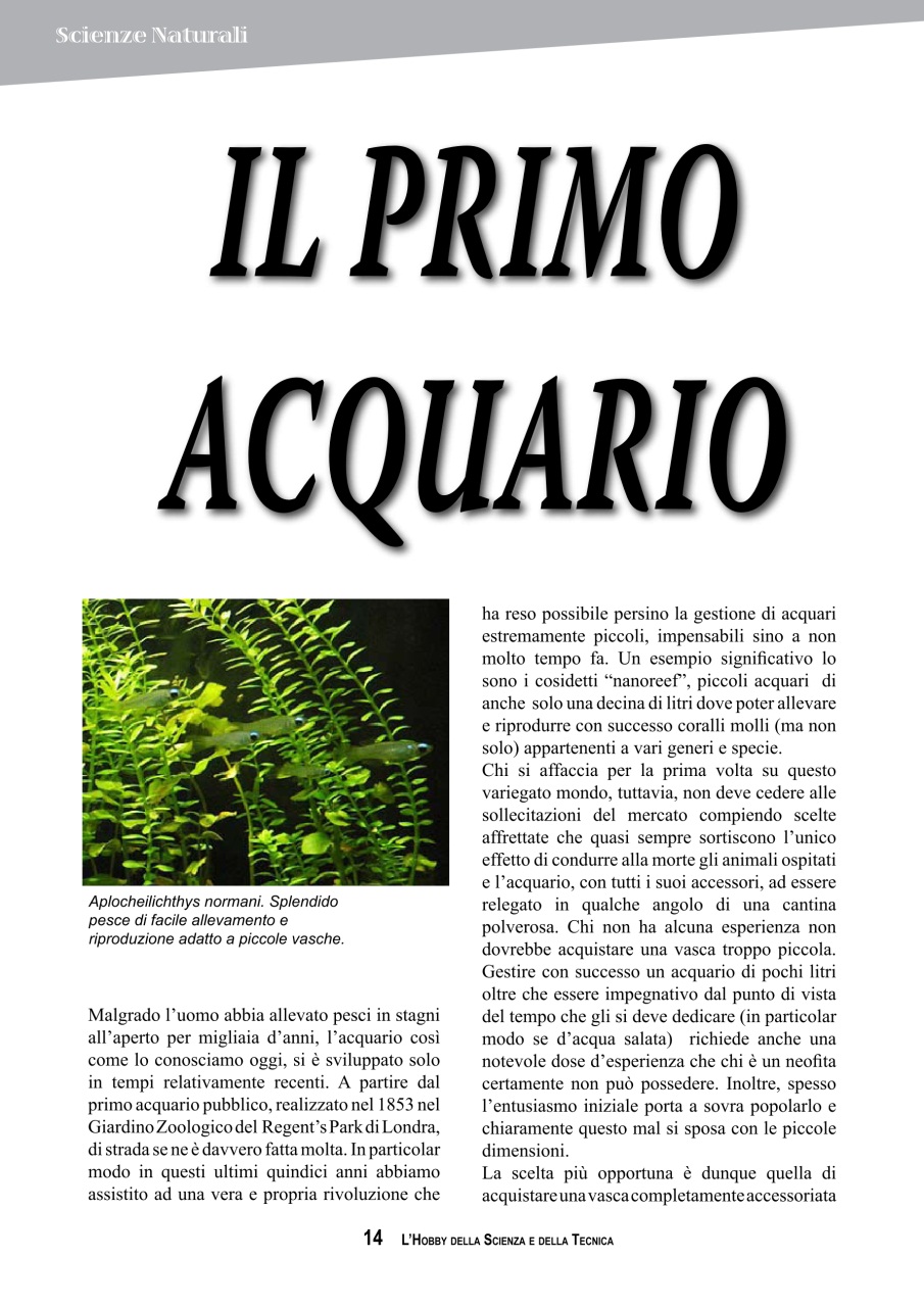 L'HOBBY DELLA SCIENZA E DELLA TECNICA Preview Pages