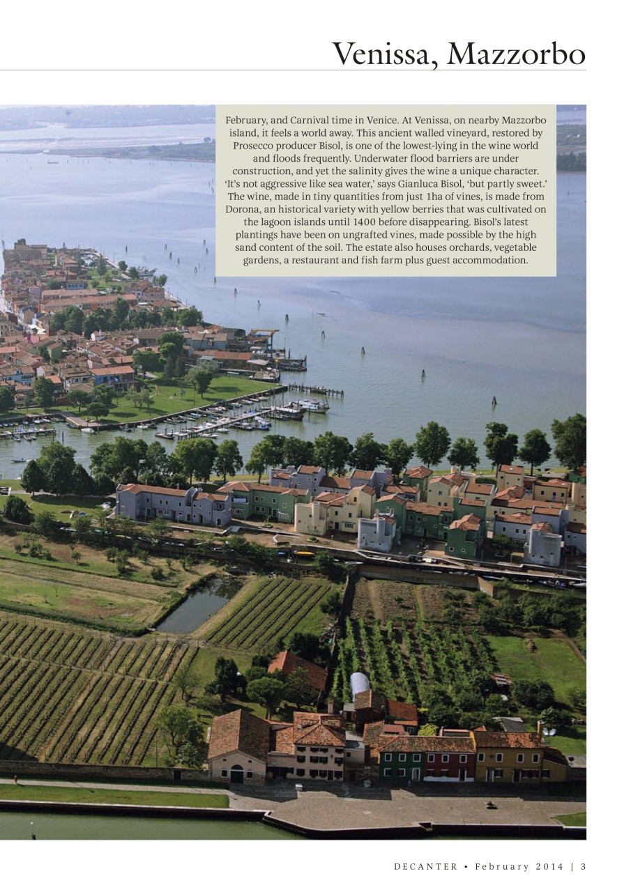 Decanter Preview Pages