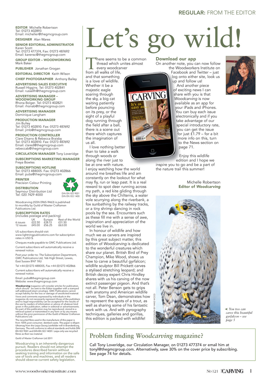 Woodcarving Preview Pages