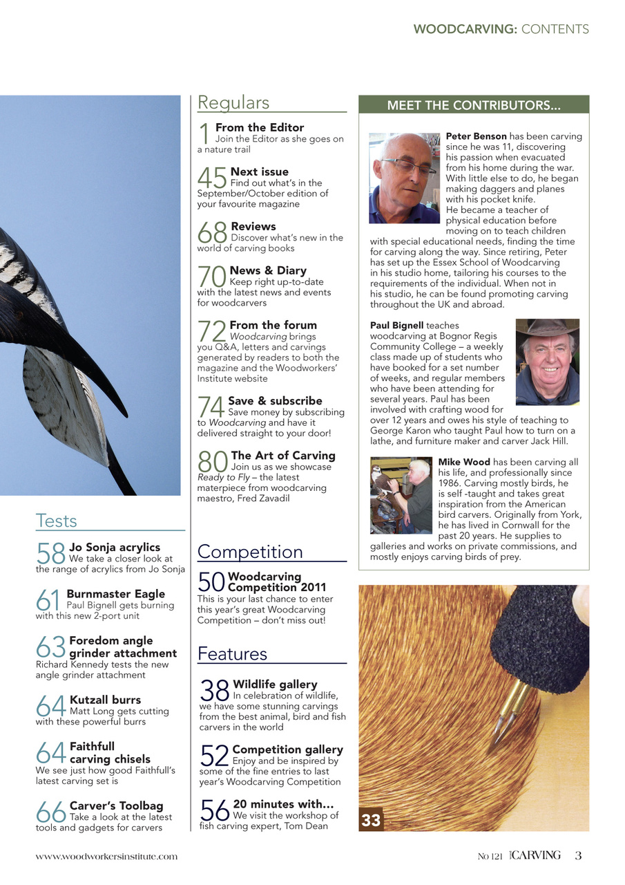 Woodcarving Preview Pages