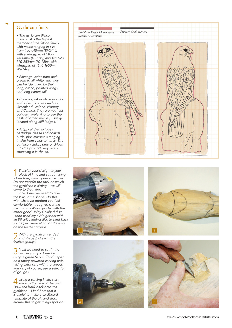 Woodcarving Preview Pages