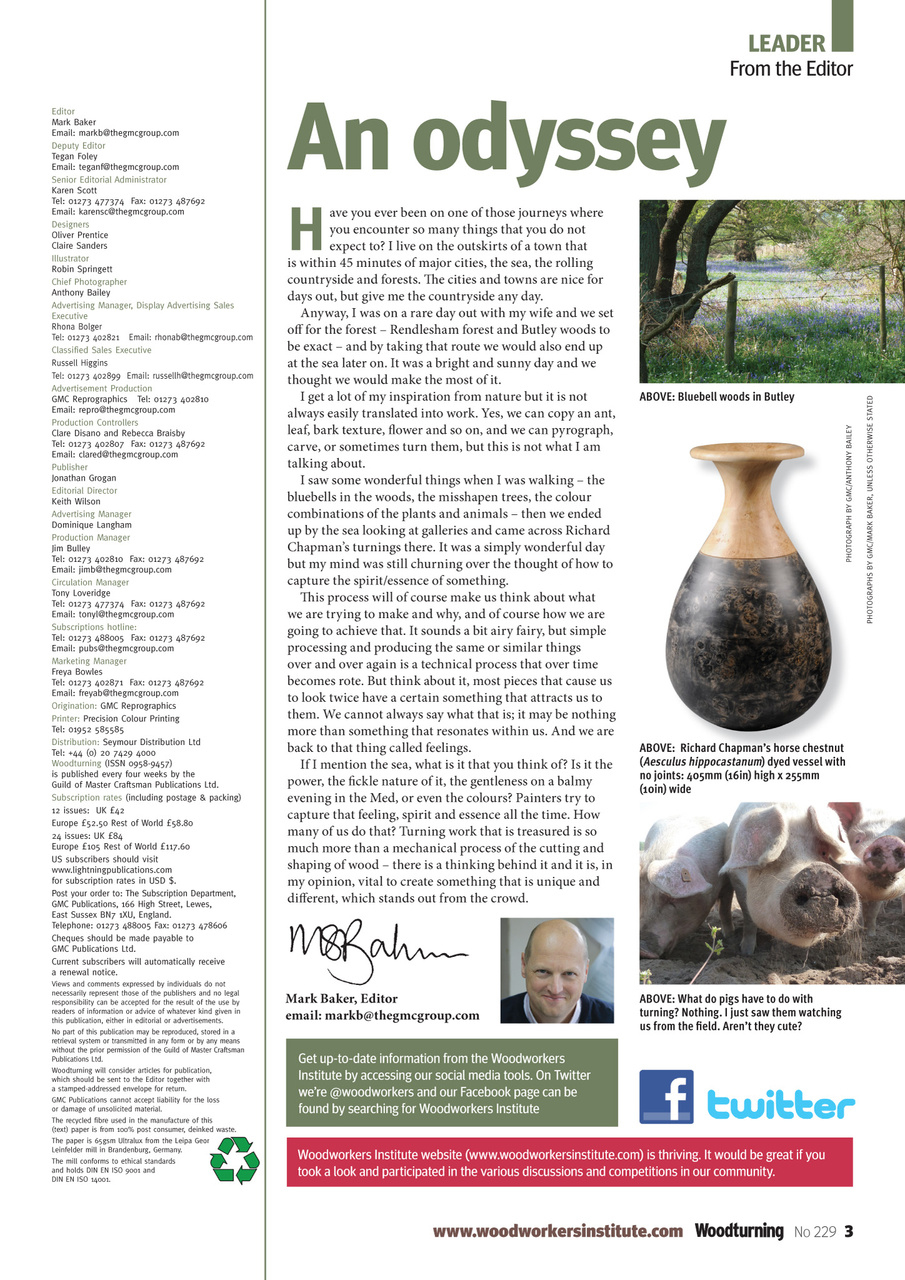 Woodturning Preview Pages