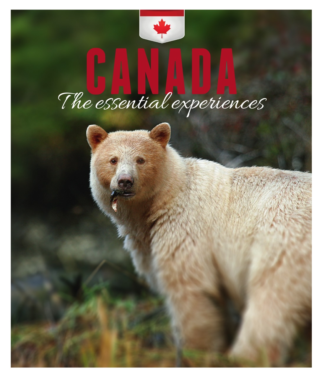 Luxury Travel Preview Pages
