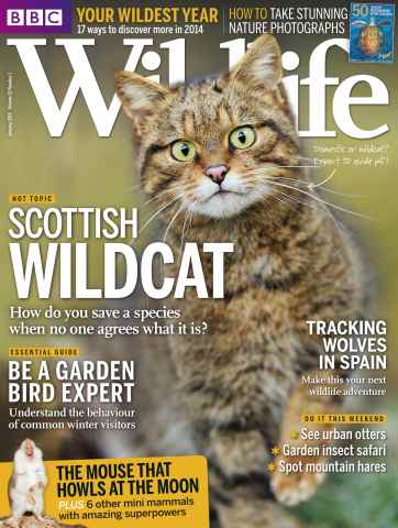 BBC Wildlife Magazine issue January 2014