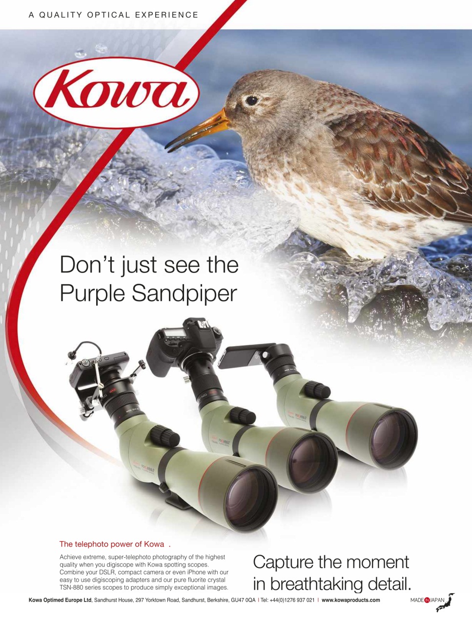 BBC Wildlife Magazine Preview Pages