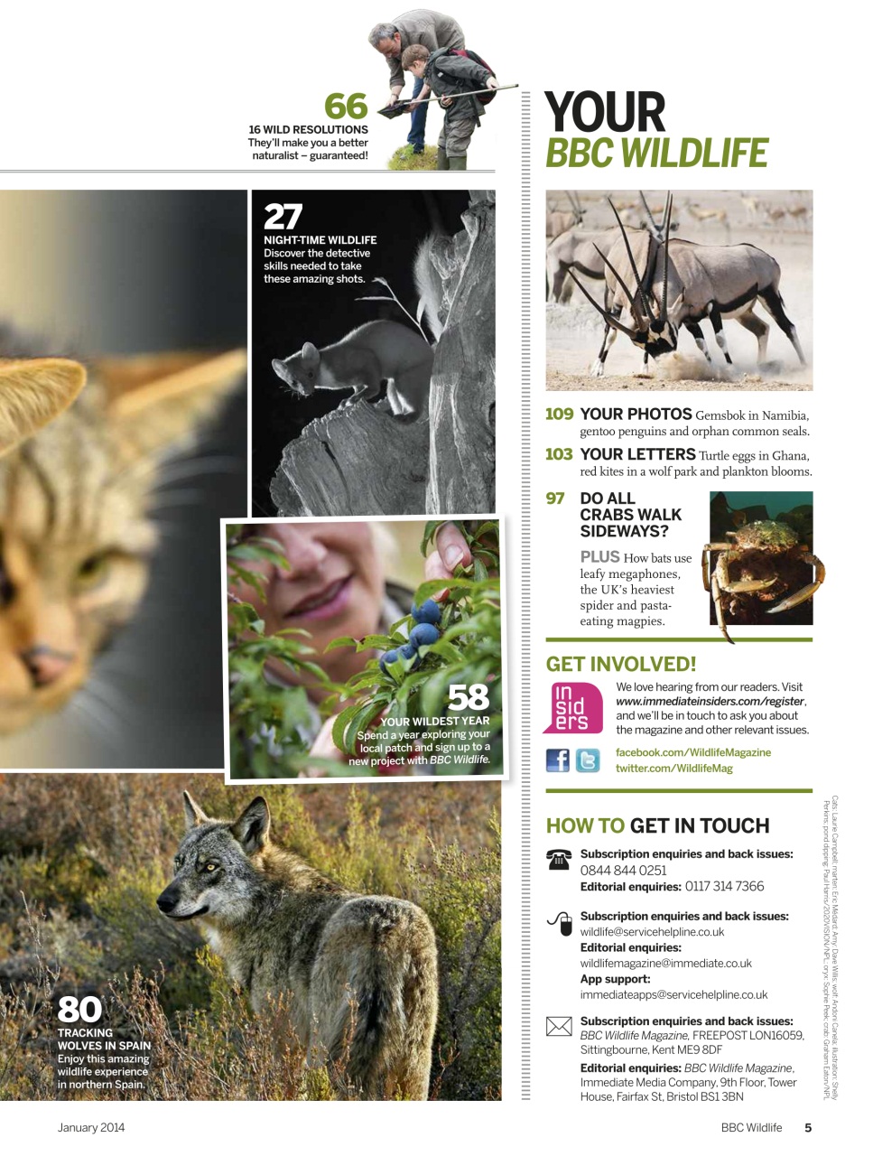 BBC Wildlife Magazine Preview Pages