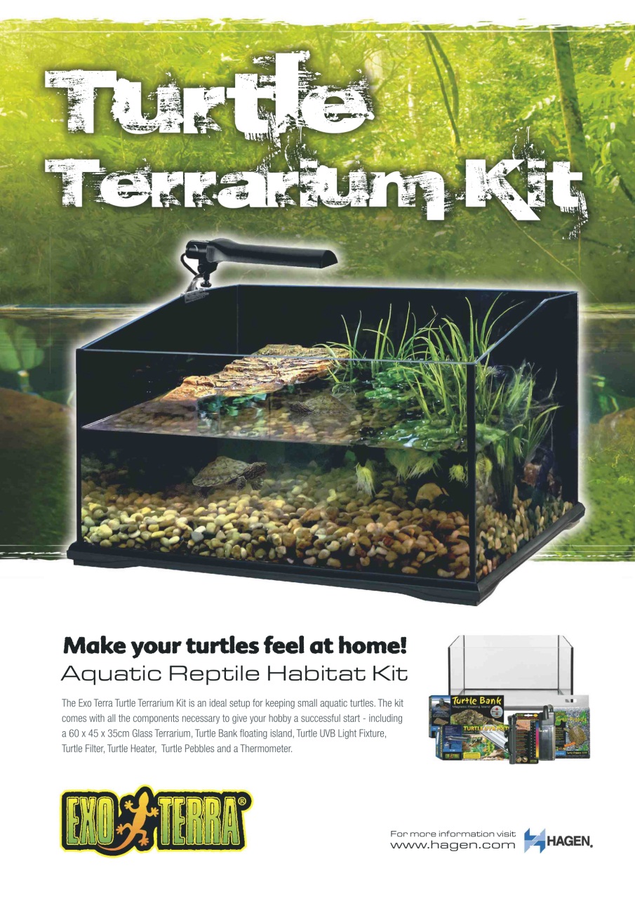 Practical Reptile Keeping Preview Pages