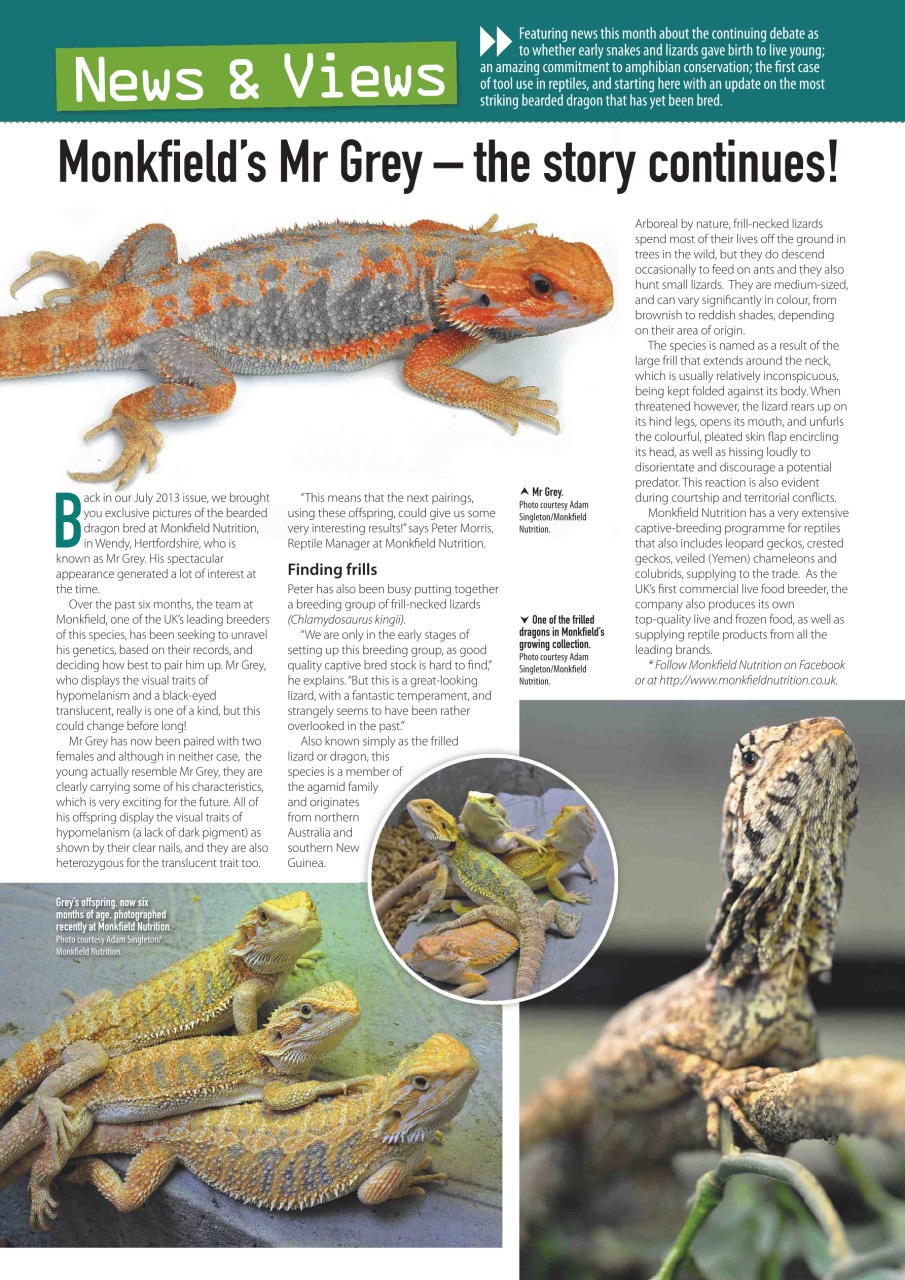 Practical Reptile Keeping Preview Pages