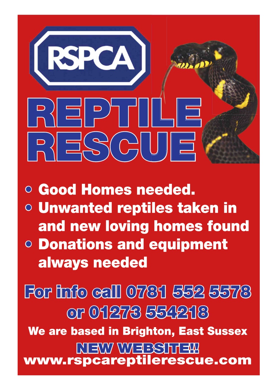 Practical Reptile Keeping Preview Pages