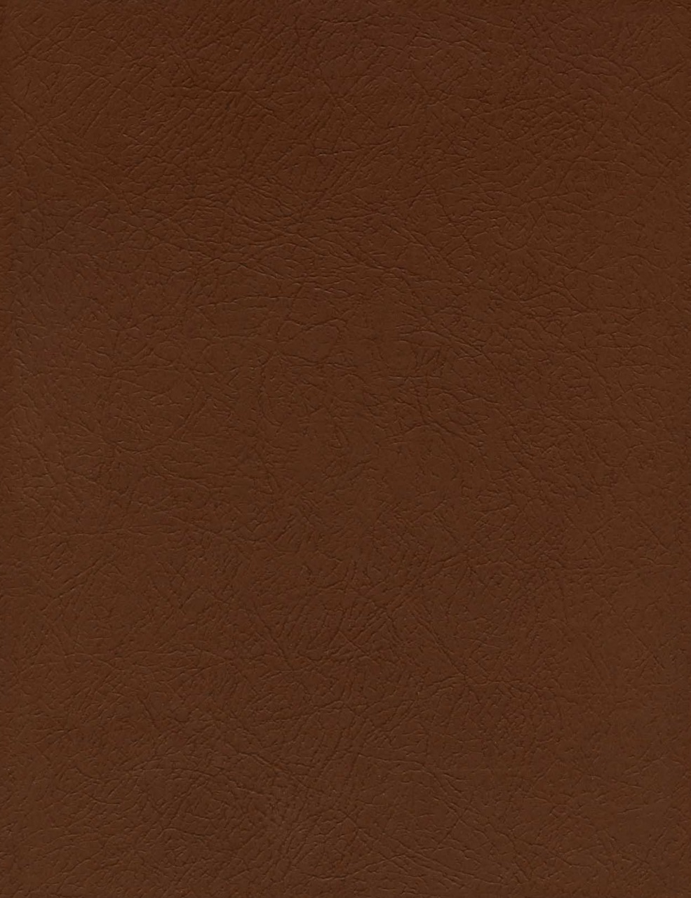 Double Gun Journal Preview Pages