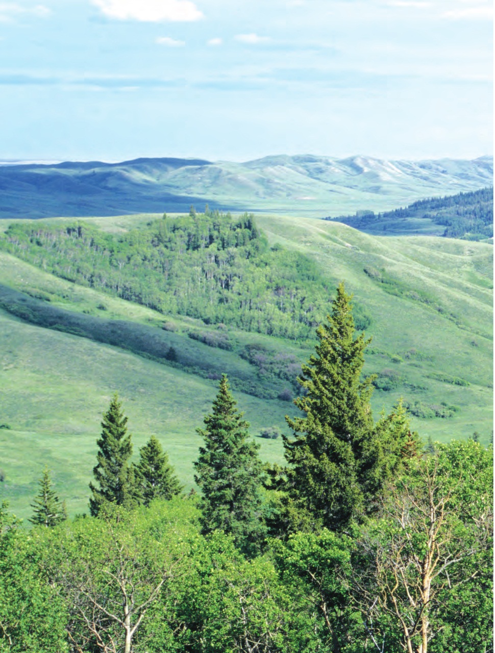 Prairies North Magazine Preview Pages