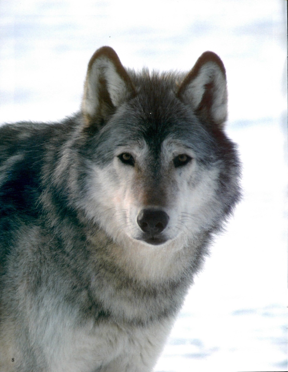 Prairies North Magazine Preview Pages