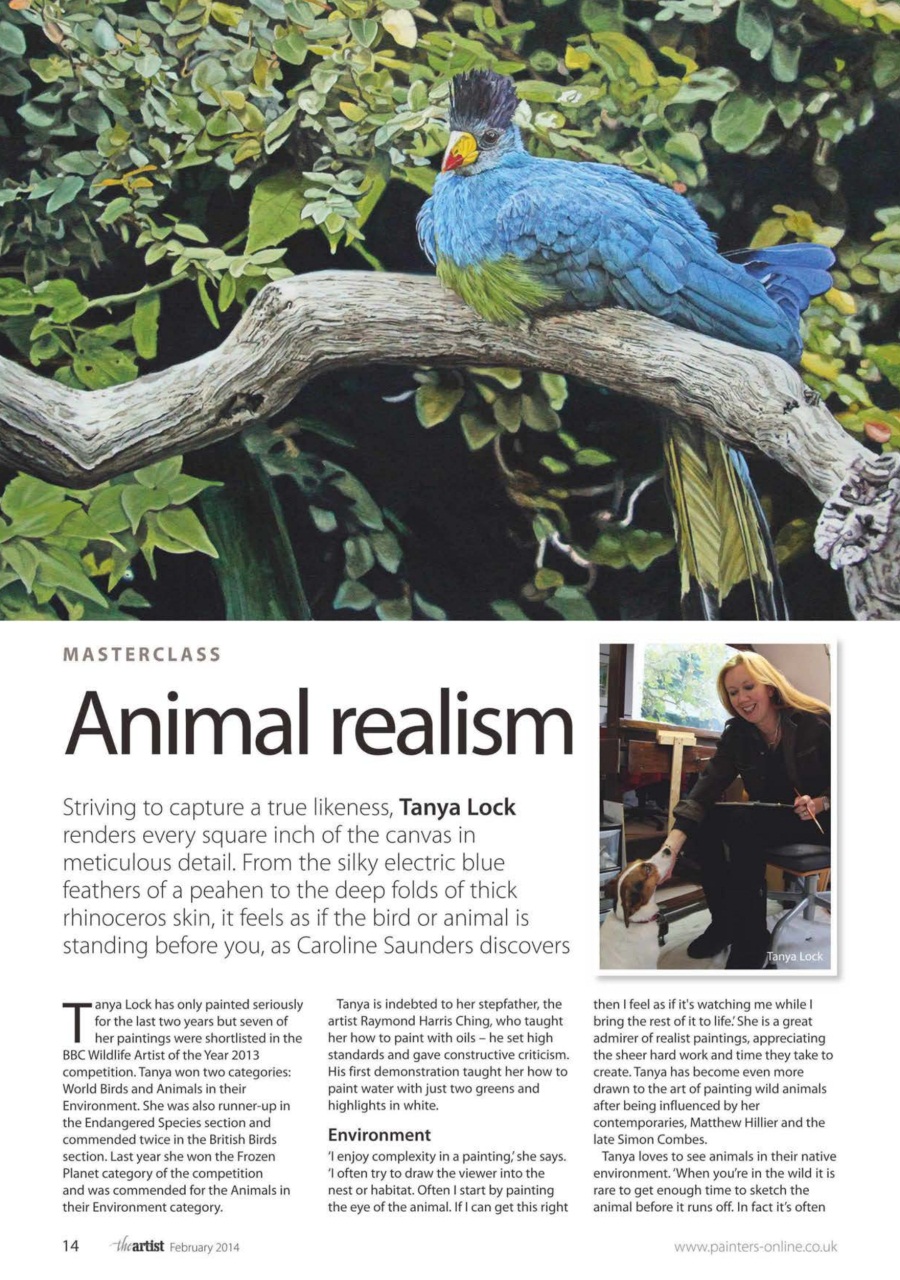 The Artist Preview Pages