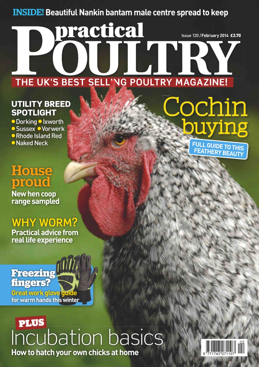 Practical Poultry Preview Pages