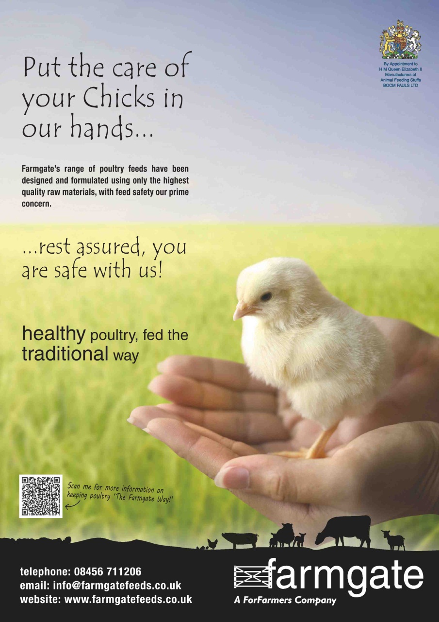 Practical Poultry Preview Pages