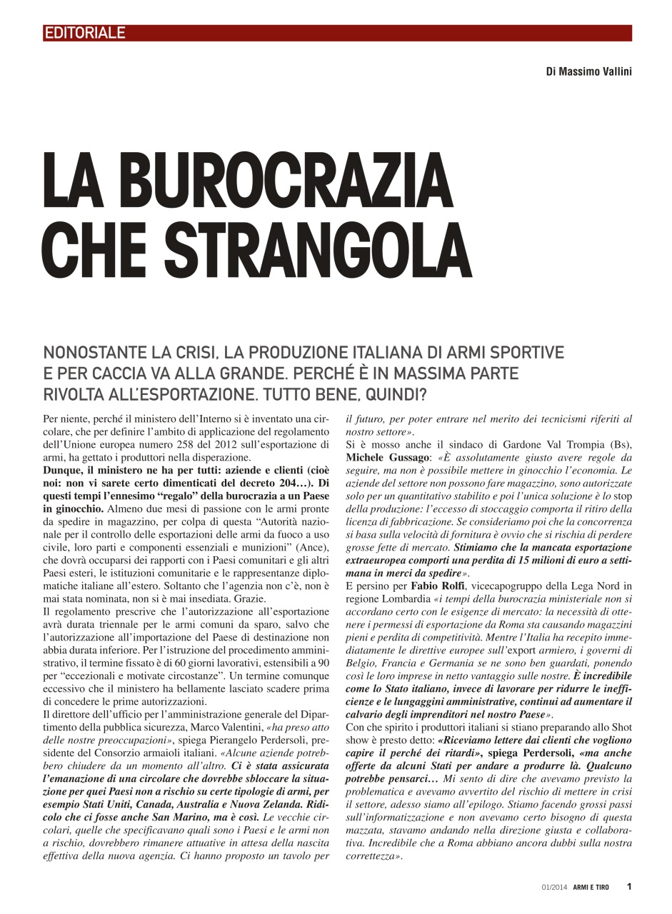 Armi E Tiro Preview Pages