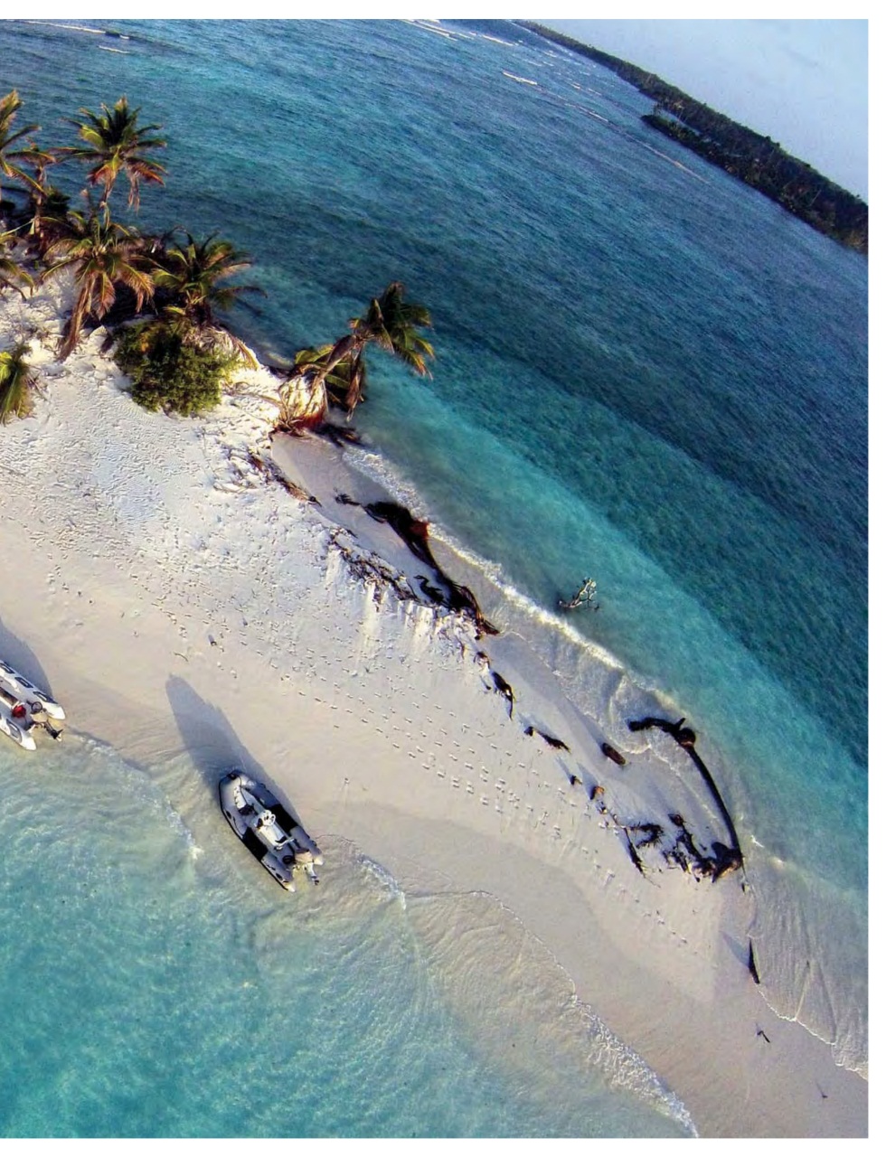 Sailing Today Preview Pages