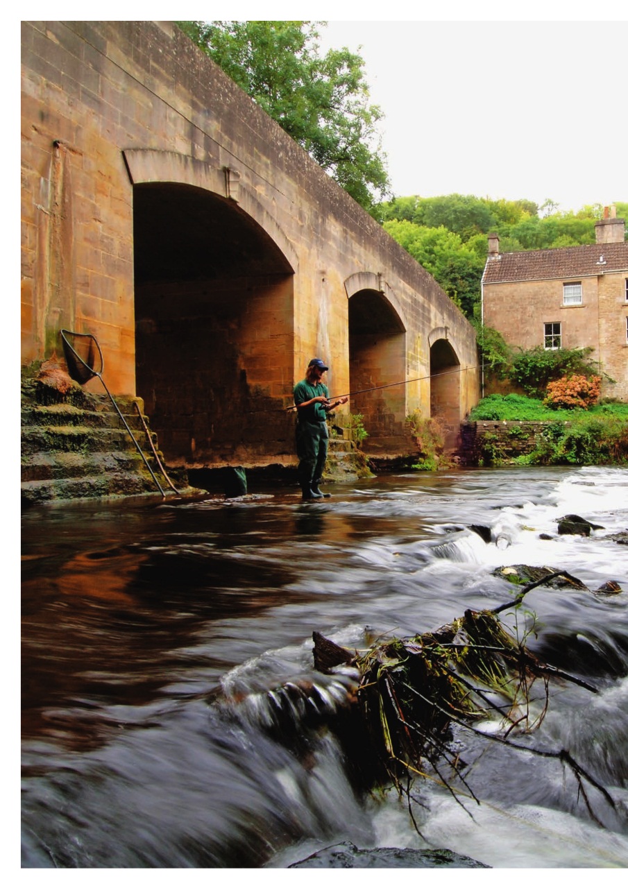 Improve Your Coarse Fishing Preview Pages