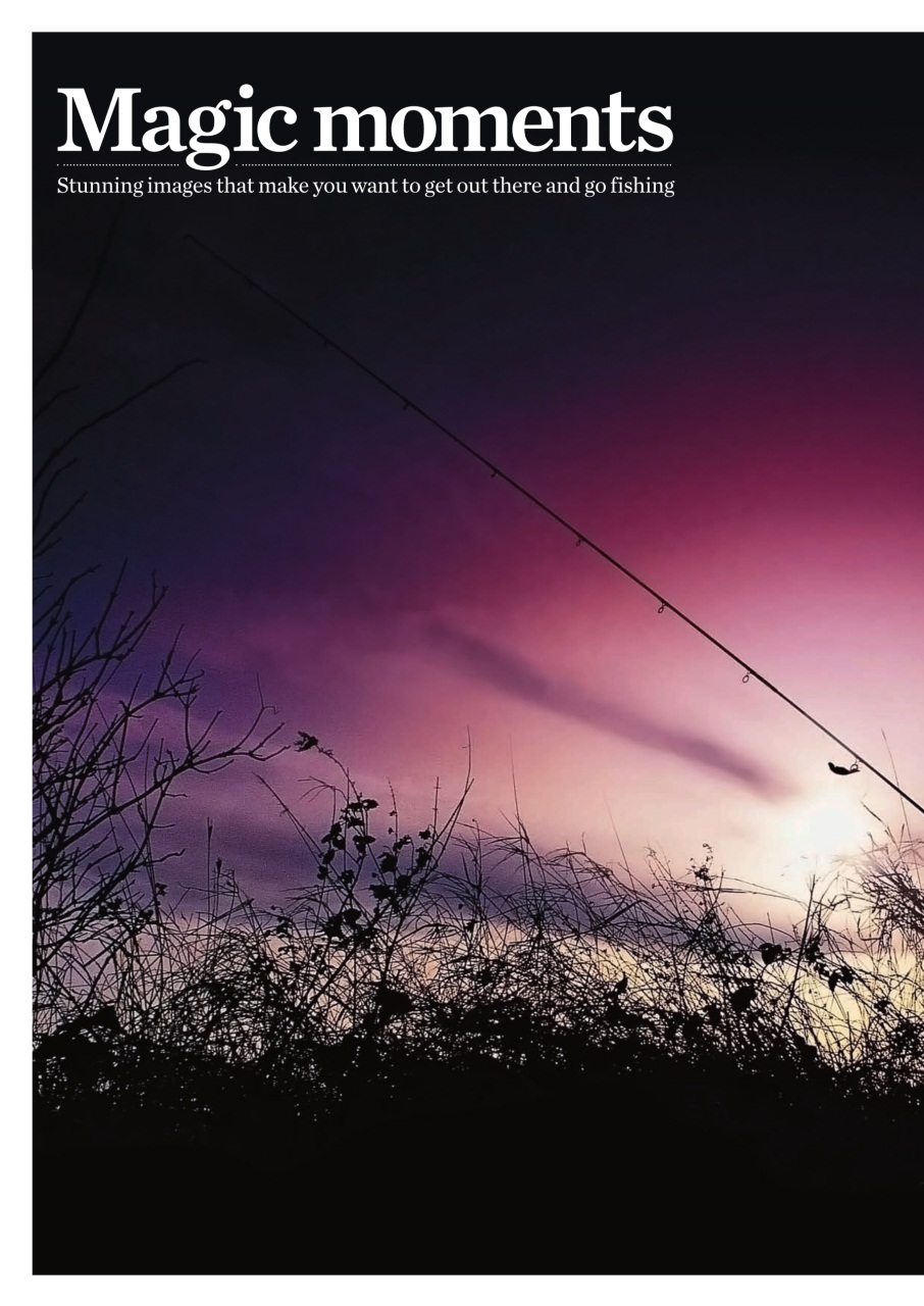 Improve Your Coarse Fishing Preview Pages