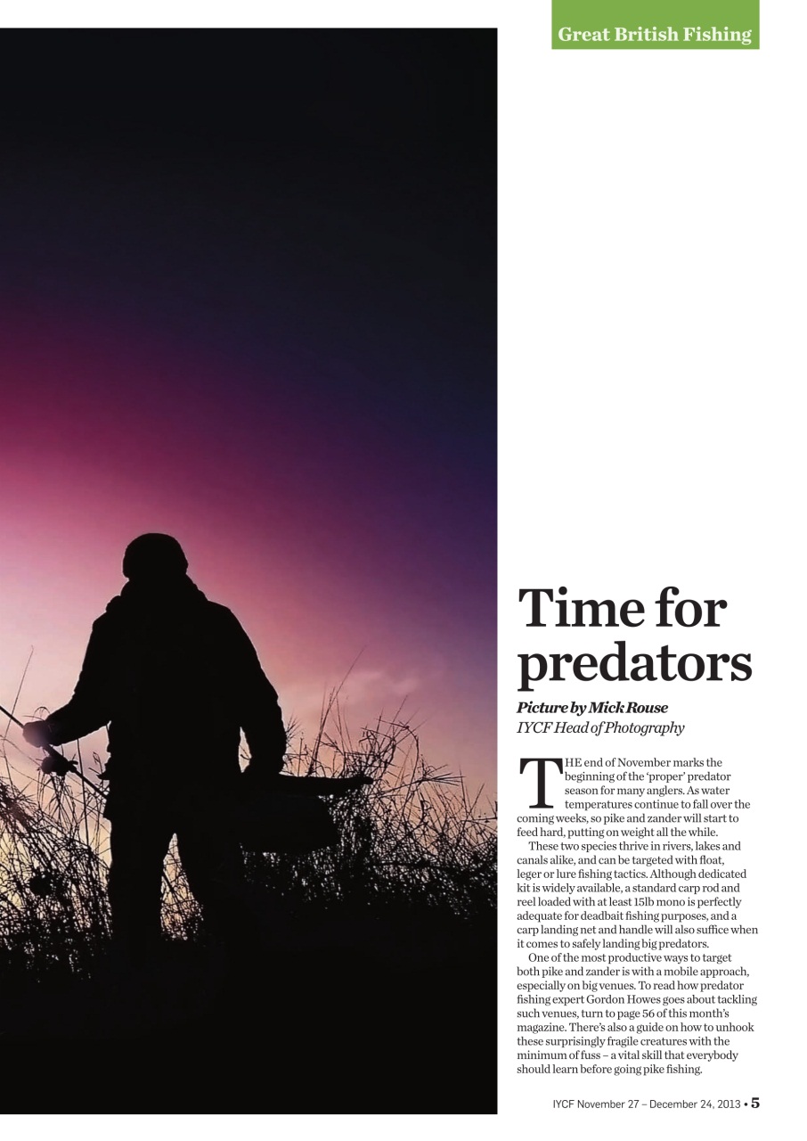 Improve Your Coarse Fishing Preview Pages