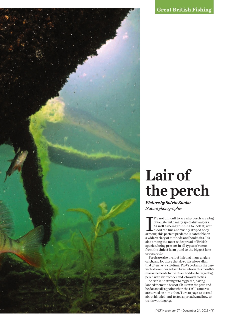 Improve Your Coarse Fishing Preview Pages