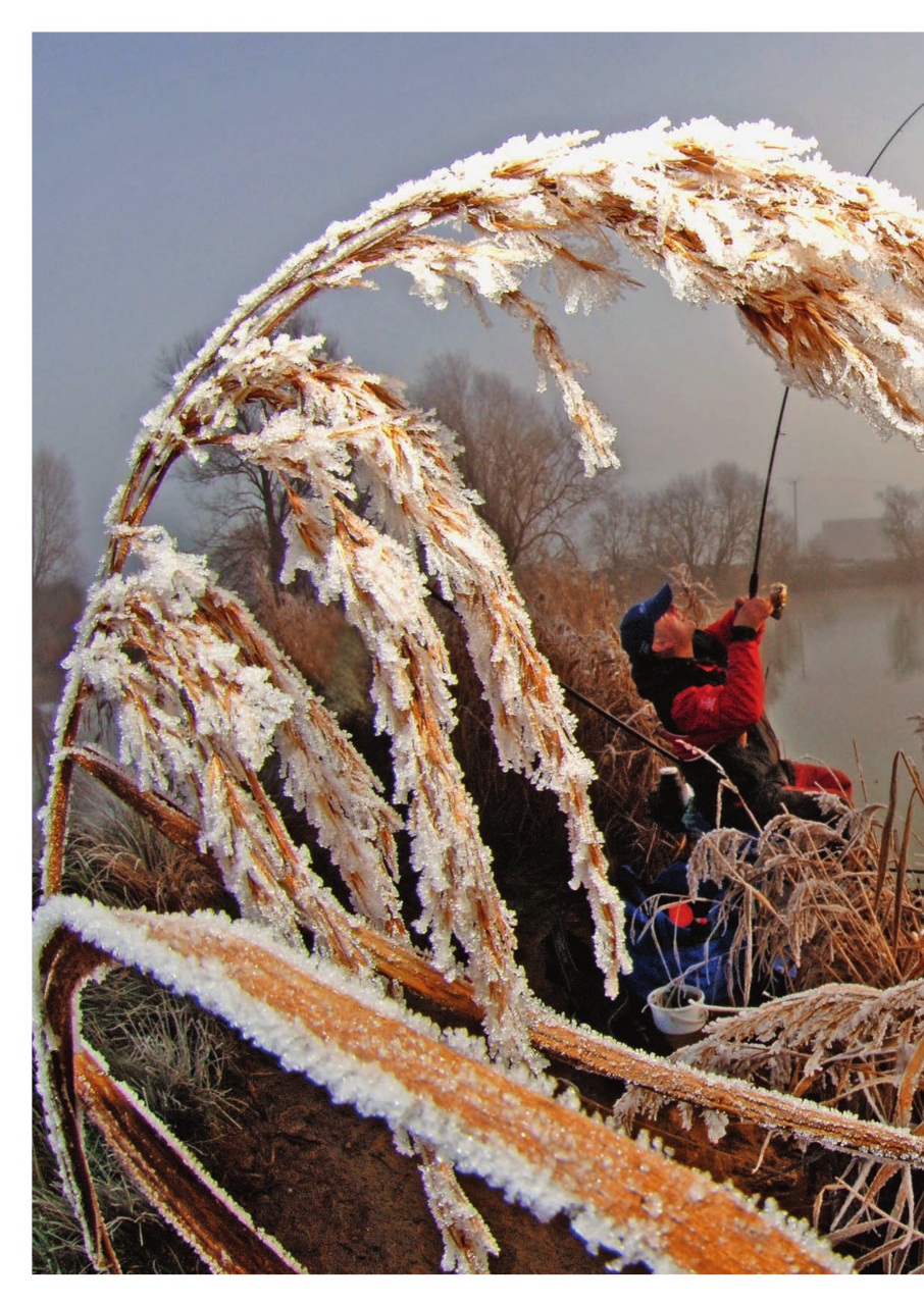 Improve Your Coarse Fishing Preview Pages