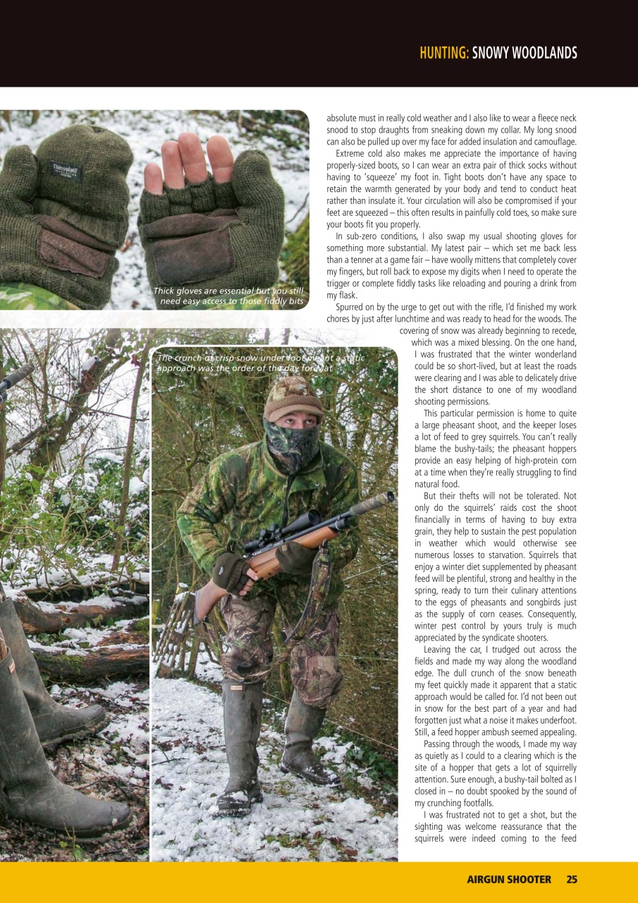 Airgun Shooter Preview Pages