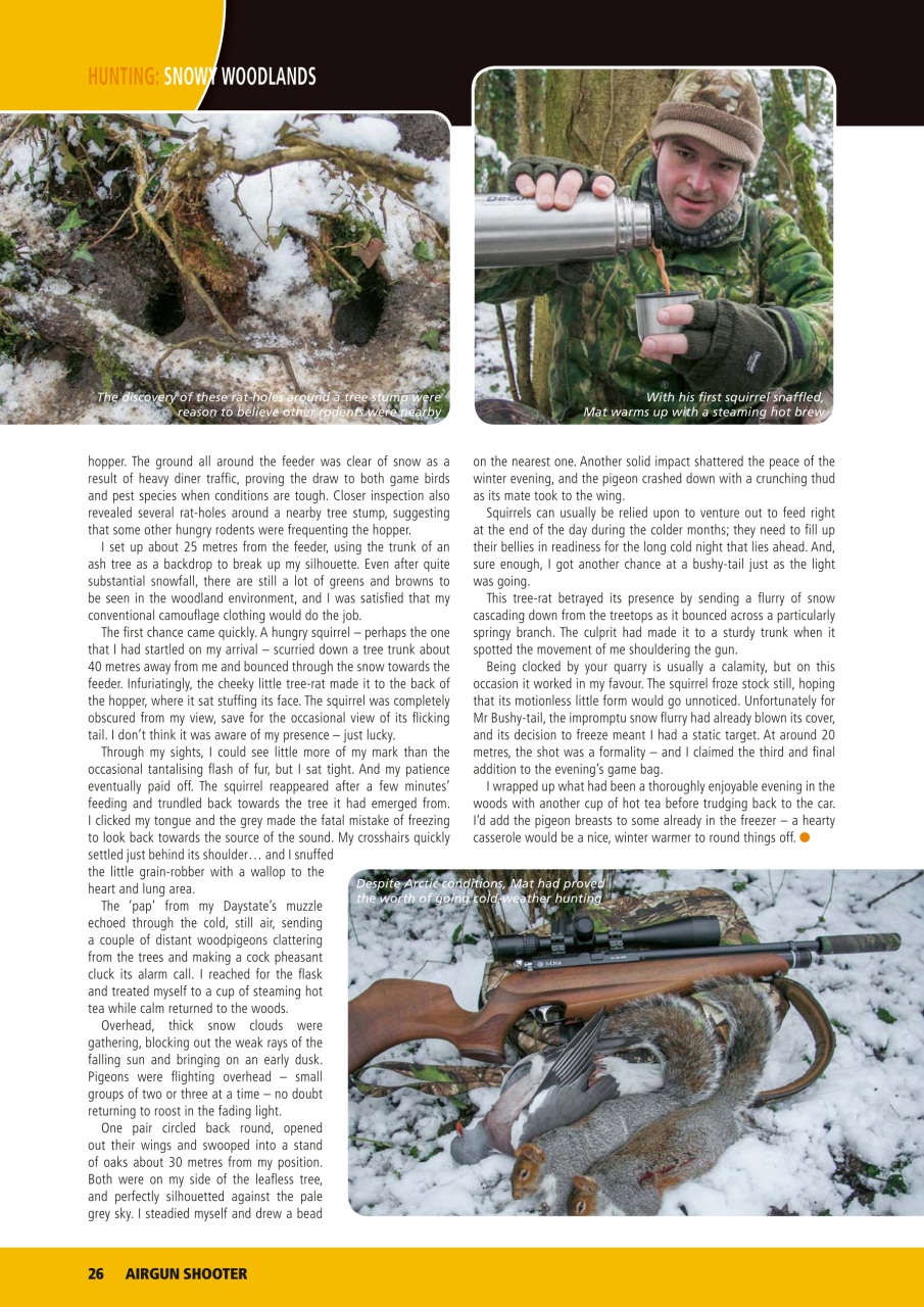 Airgun Shooter Preview Pages