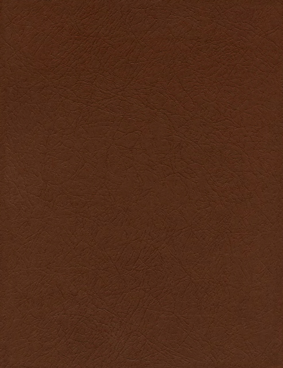 Double Gun Journal Preview Pages