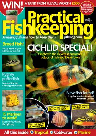 Practical Fishkeeping issue February 2014