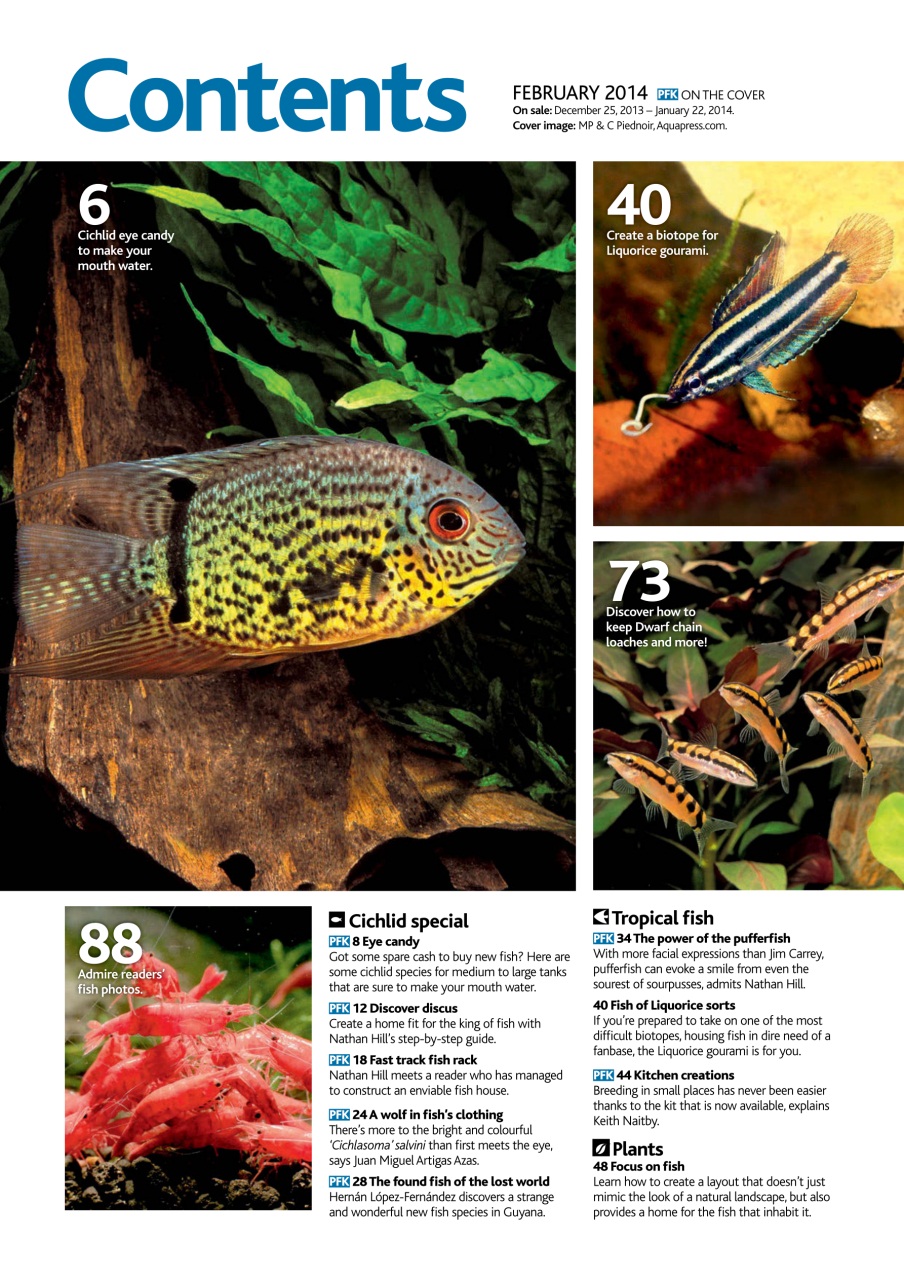 Practical Fishkeeping Preview Pages