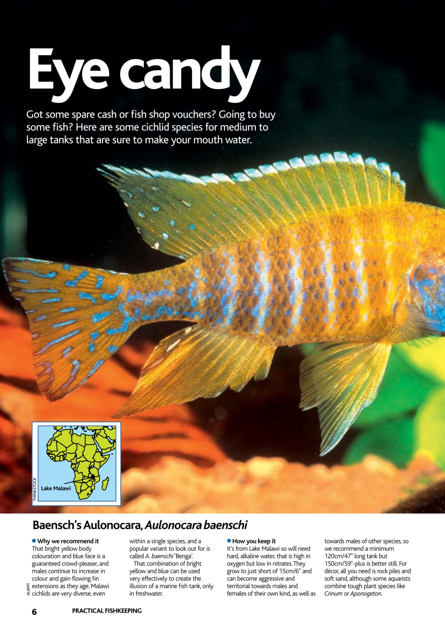 Practical Fishkeeping Preview Pages