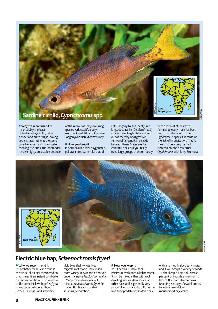 Practical Fishkeeping Preview Pages