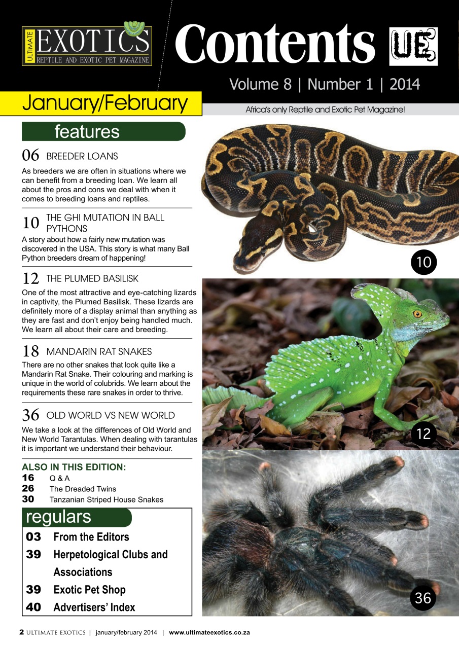 Ultimate Exotics Preview Pages