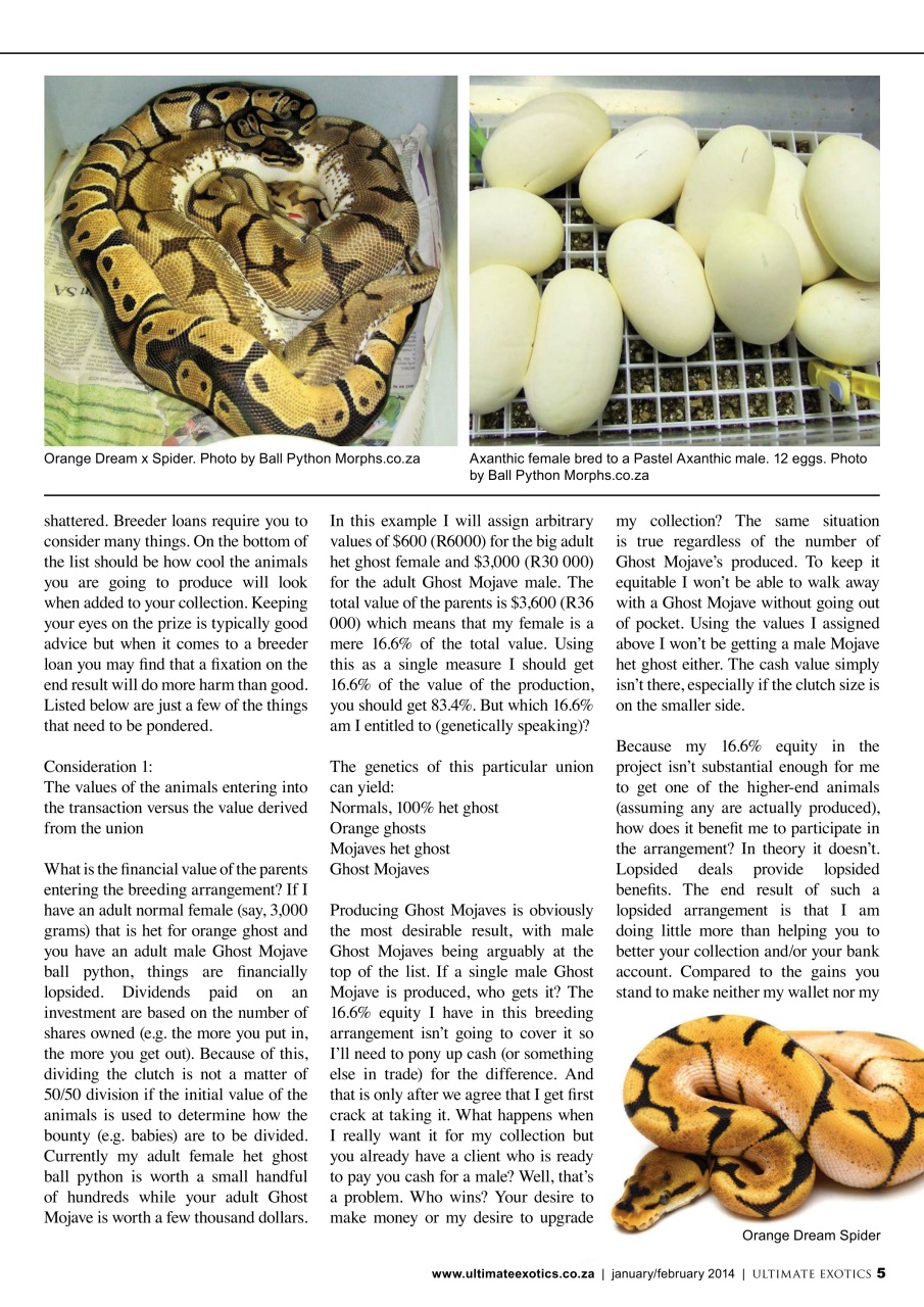 Ultimate Exotics Preview Pages