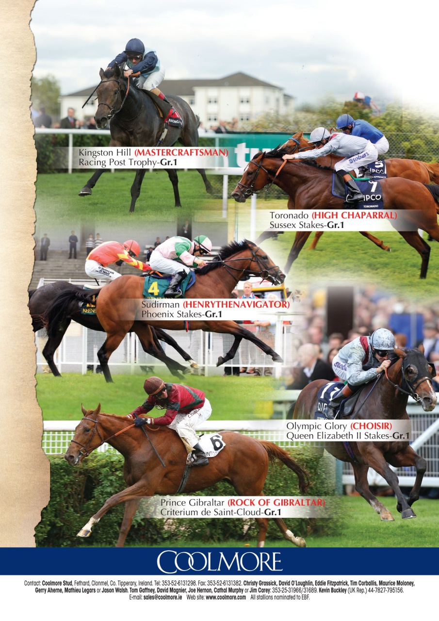 The Owner Breeder Preview Pages