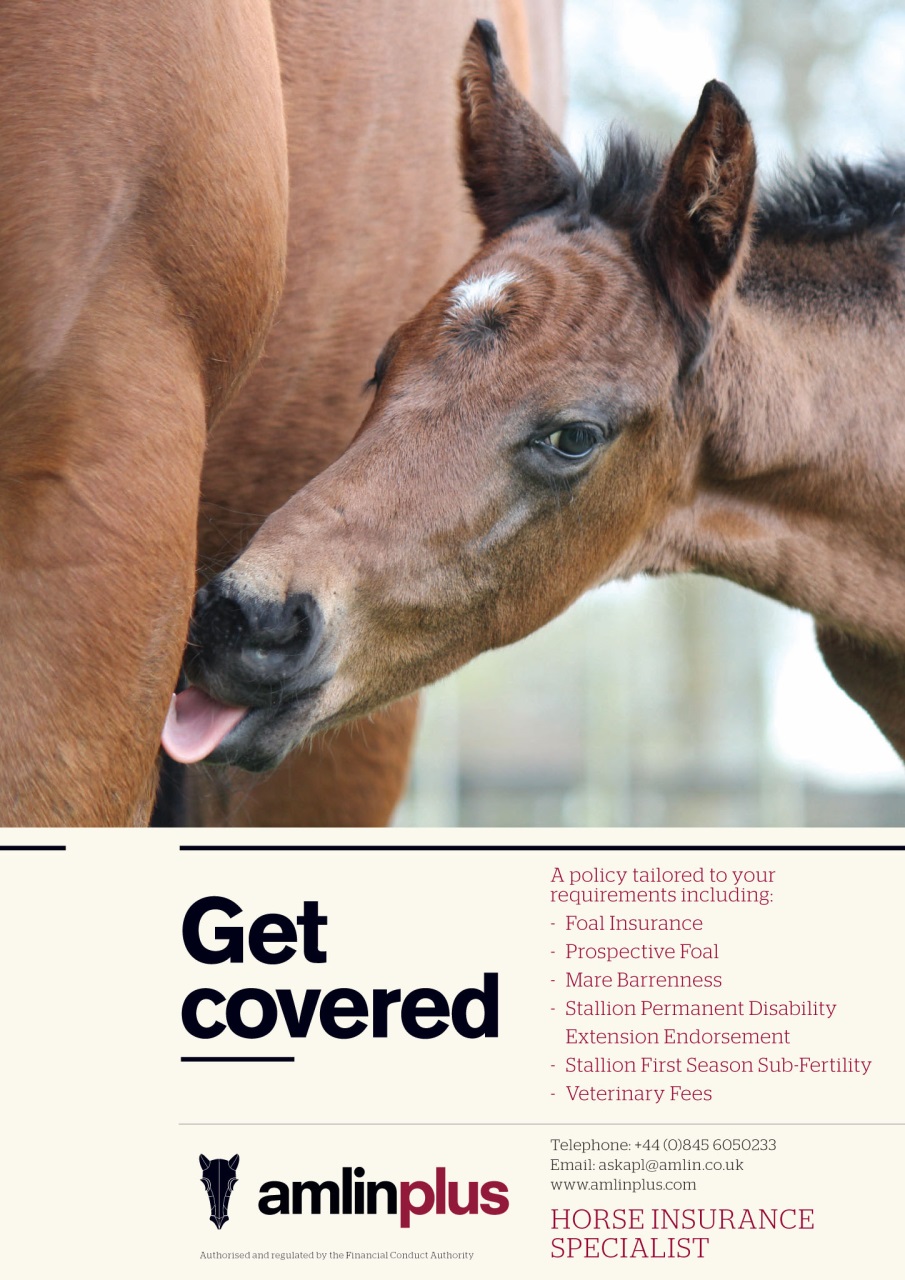 The Owner Breeder Preview Pages