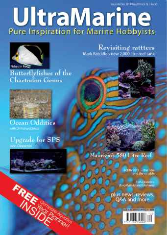 UltraMarine Magazine issue Issue 43