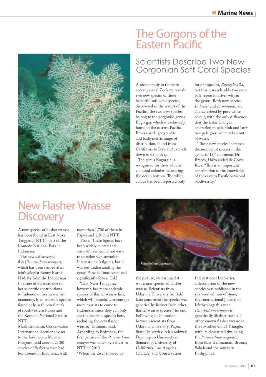 UltraMarine Magazine Preview Pages